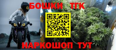 Альфа ПВП Моздок