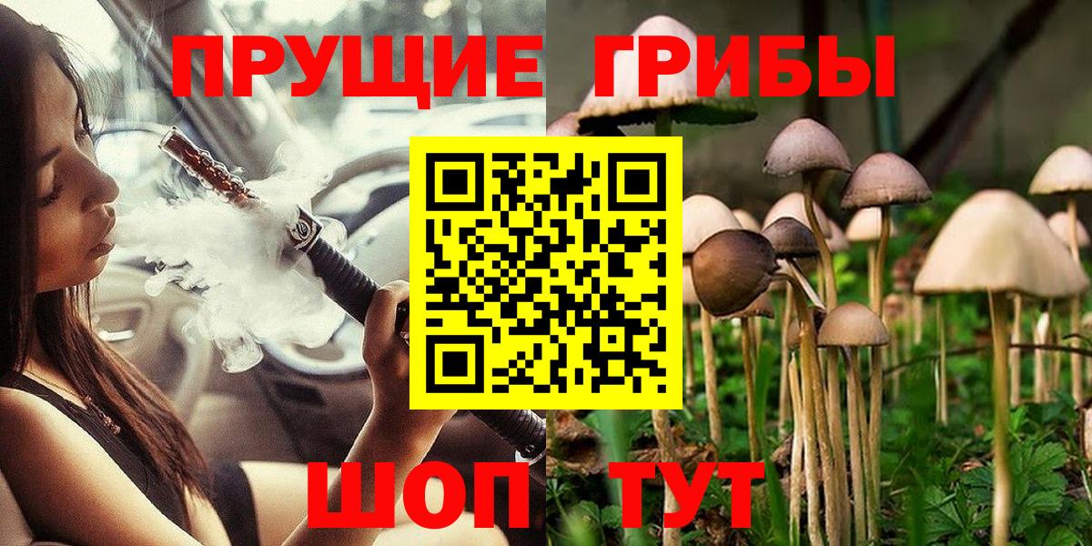 Химки  Псилоцибиновые грибы GOLDEN TEACHER  Вход с VPN 