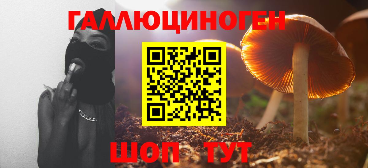 Псилоцибиновые грибы GOLDEN TEACHER Химки